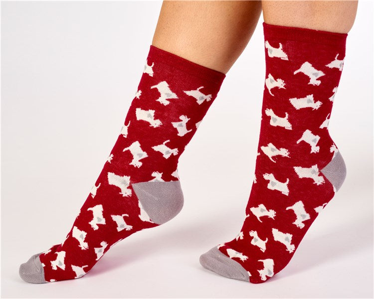 Scottie Dog and Heart Socks (2 Pair Pack) LS175